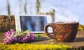 A cup of hot coffee in the woods on a stump next to the phone and spring flowers. Active rest in nature_ Royalty Free Stock Photo