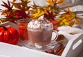 Cup of hot creamy cocoa with froth on the white tray with autumn leaves and pumpkins on the background Royalty Free Stock Photo