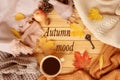 Cup of hot fragrant tea, autumn leaves, apple, cozy scarves and knitted sweaters, key, flat, concept of hugg, winter or autumn