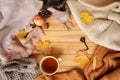 Cup of hot fragrant tea, autumn leaves, apple, cozy scarves and knitted sweaters, key, flat, concept of hugg, winter or autumn