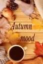 Cup of hot fragrant tea, autumn leaves, apple, cozy scarves and knitted sweaters, key, flat, concept of hugg, winter or autumn