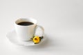 A cup of hot fresh black coffee with foam on a white background. Coffee cup on a round saucer centered inside the frame. Top view Royalty Free Stock Photo