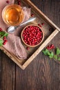 A cup of hot hawthorn tea made from freshly picked berries, herbal medicine for heart health with copy space Royalty Free Stock Photo