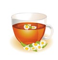 Cup of hot herbal chamomile