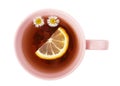 Cup of hot herbal tea Royalty Free Stock Photo