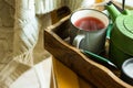 Cup of hot red fruit tea, green pot in tray, candle, knitted sweater hanging on wooden chair, cozy autumn, fall Royalty Free Stock Photo