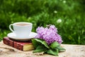 Cup of hot tea, book and branch of lilac. Tea in the spring garden. Home cosiness. Royalty Free Stock Photo