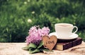 A cup of hot tea, a book and lilacs against a background of green grass. Romantic concept. Vintage tinting. Copy space