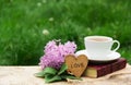 A cup of hot tea, a book and lilacs against a background of green grass. Romantic concept. Wooden card with a heart. Royalty Free Stock Photo