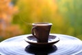 Cup of hot tea, coffee on black vinyl record in the garden, beautiful blurred natural landscape, background of yellow and orange Royalty Free Stock Photo