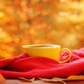 Cup of hot tea or coffee on nature background. Concept autumn mood. Royalty Free Stock Photo