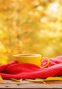 Cup of hot tea or coffee with yellow leaves and notebook on nature background. Concept autumn mood Royalty Free Stock Photo