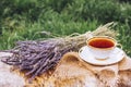 Cup of hot tea in the garden on the green grass. Aromatic hot tea with lavender. Royalty Free Stock Photo