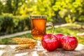 Cup of hot tea in the garden. Red apples and tea. Spiced Apple Tea. Royalty Free Stock Photo