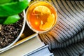 A cup of hot tea with lemon on a pile of books, steam comes out of the cup. Yellow flower pot with green plant. Sunbeam Royalty Free Stock Photo