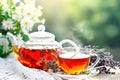 Cup with hot tea with mint and a thyme on a wooden table in a summer garden. Selective focus, Royalty Free Stock Photo