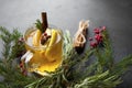 1 cup of hot tea with slices of Apple and lemon, cinnamon, star anise, rosemary sprigs on a background,  fir branches Royalty Free Stock Photo