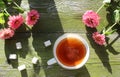 A Cup of hot tea with sugar in pieces and pink flowers on a green wooden background, top view Royalty Free Stock Photo