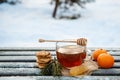 Cup of hot tea witn honey , tangerines and cookies in the winter forest. the concept of Christmas still life