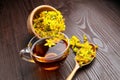 Cup with hypericum perforatum or St Johns wort tea with fresh flowers Royalty Free Stock Photo