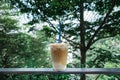 cup of iced coffee with straw put on rail or fence in green garden