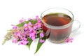 A cup of Ivan tea on white Royalty Free Stock Photo