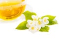 Cup of the jasmin tea isolated Royalty Free Stock Photo