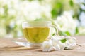 cup of jasmine tea and jasmine flowers Royalty Free Stock Photo