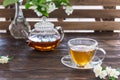 Cup of jasmine tea and transparent tea pot on the wooden table. Spring tea party. Copy space Royalty Free Stock Photo