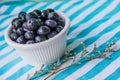 A Cup Of Juicy Blueberries At A Bright Blue Stripy Background Royalty Free Stock Photo