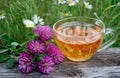 Cup of linden tea on a wooden table. white butterfly sitting on a cup of herbal tea. clover flowers and a cup of flower tea. herba