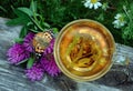 Cup of linden tea on a wooden table. white butterfly sitting on a cup of herbal tea. clover flowers and a cup of flower tea. herba