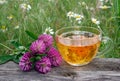 Cup of linden tea on a wooden table. white butterfly sitting on a cup of herbal tea. clover flowers and a cup of flower tea. herba