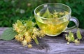 Cup of linden tea on a wooden table. white butterfly sitting on a cup of herbal tea. clover flowers and a cup of flower tea. herba