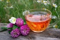 Cup of linden tea on a wooden table. white butterfly sitting on a cup of herbal tea. clover flowers and a cup of flower tea. herba
