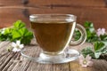 A cup of mallow tea with fresh dwarf mallow plant Royalty Free Stock Photo