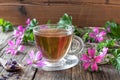 A cup of mallow tea with fresh malva sylvestris plant