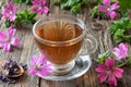 A cup of mallow tea with fresh malva sylvestris plant Royalty Free Stock Photo