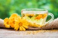 Cup of marigold tea and calendula flowers outdoors Royalty Free Stock Photo