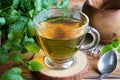 A cup of melissa tea with fresh melissa leaves Royalty Free Stock Photo