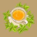 Cup of melissa tea Royalty Free Stock Photo