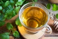 A cup of melissa tea with fresh melissa leaves Royalty Free Stock Photo