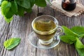 A cup of melissa tea with fresh melissa twigs Royalty Free Stock Photo