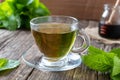 A cup of melissa tea with fresh melissa twigs Royalty Free Stock Photo