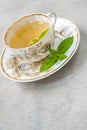 Cup of menth tea Royalty Free Stock Photo