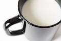 Cup of milk Royalty Free Stock Photo