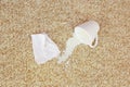 Cup of milk fell on carpet. Stain is on floor Royalty Free Stock Photo