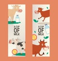 Cup of milk set of banners vector illustration. Curious cow eating grass with vacant look. Funny baby animal, cattle