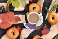 A cup of milk tea, sweet fresh buns and colorful autumn leaves on a striped warm picnic blanket Royalty Free Stock Photo