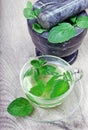 Cup of mint tea. fresh mint in a mortar and pestle Royalty Free Stock Photo